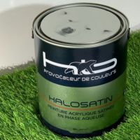 HALOSATIN    2.5L BLANC ET PASTELS