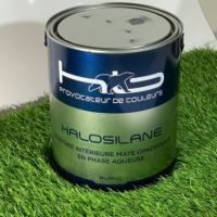 HALOSILANE    2.5L BLANC